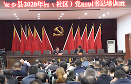 安乡：发力基层社会治理创新工作