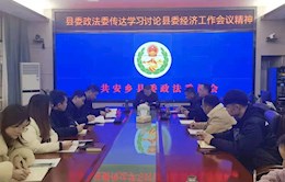 县委政法委召开传达学习县委经济工作会议精神专题会议