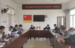 周宏林带队到大湖口镇联点村调研乡村振兴工作
