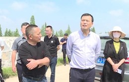 县领导督导检查安澧大垸防汛备汛工作