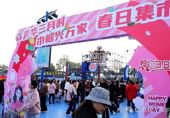 奋进新征程 巾帼添新彩 | 安乡县开展2025年“三八维权周”系列活动