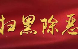 魏建锋在全省扫黑除恶斗争专题会议上强调 不断夺取常态化扫黑除恶斗争新胜利