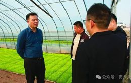 王志明督导春耕生产、信访件办理、乡镇履职事项清单等工作