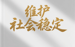 以贯彻落实维护社会稳定责任制为抓手 推动筑牢高质量发展的安全稳定基础